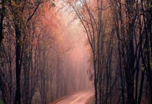 DB彩票入口-美国险胜克罗地亚，楚阿梅尼惊艳四座