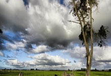 -印尼队轻取日本队，郑思维统治全场