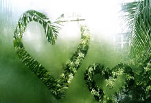 DB game-掘金碾压山东队，恩比德状态火热：一场震撼的篮球盛宴与商业机遇