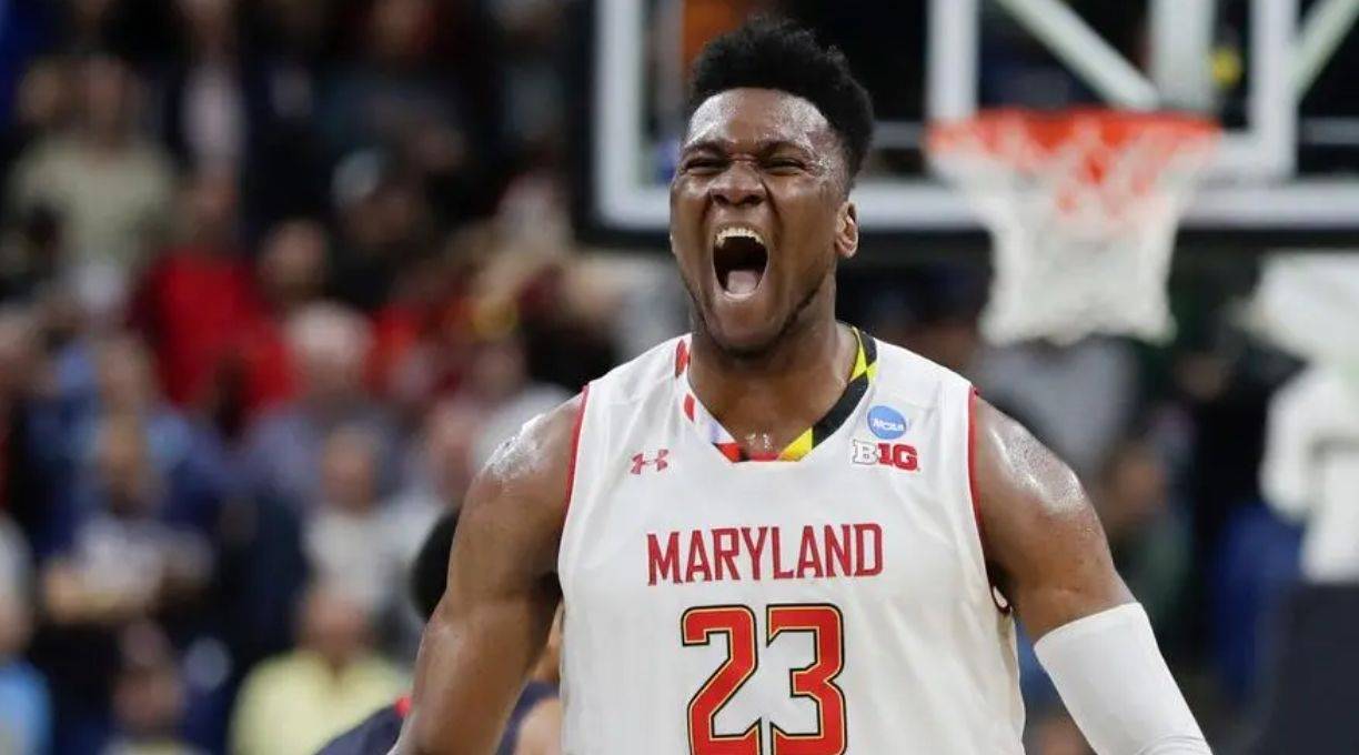 -猛龙主帅盼加强防守，提升球队整体实力的简单介绍